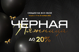 Скидки до 20% в Черную Пятницу!